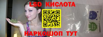 стаф Кулебаки