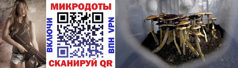KRAKEN сайт  Старая Купавна  Псилоцибиновые грибы Magic Shrooms  где можно купить  