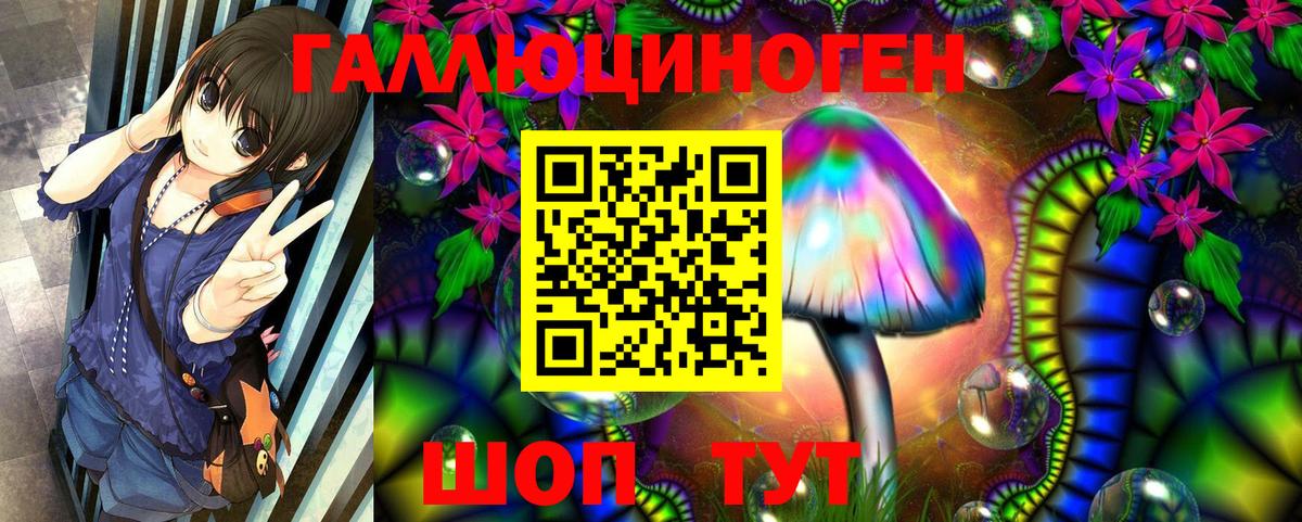 Старая Купавна  Псилоцибиновые грибы прущие грибы  Псилоцибиновые грибы Cubensis  Вход с VPN 
